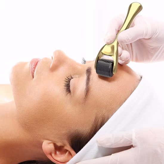 Drs192 Full Clear Medical Microneedling Mesotherapy 192 Stainless Steel Micro Needles Derma Roller